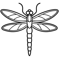 Dragonfly line art vector