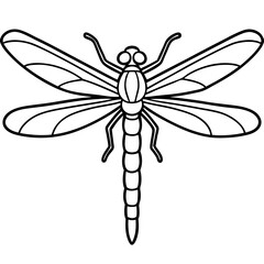 Dragonfly line art vector
