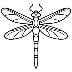 Dragonfly line art vector