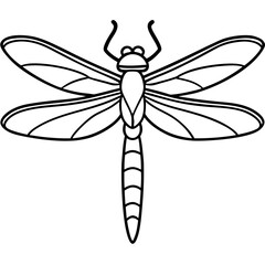 Dragonfly line art vector