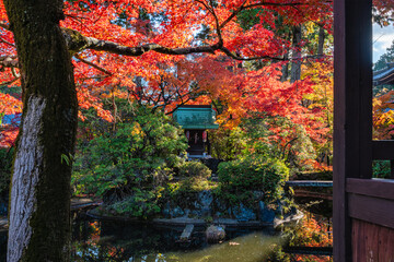 The beautiful Shinsho Gokurakuji Temple on a sunny morning during fall season, in Kyoto, Japan.