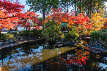 The beautiful Shinsho Gokurakuji Temple on a sunny morning during fall season, in Kyoto, Japan.