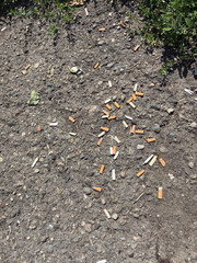 Lots of cigarette butts on the pavement