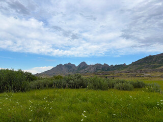 Fototapeta premium Tall Green Grass with Granite Mountains in the Background