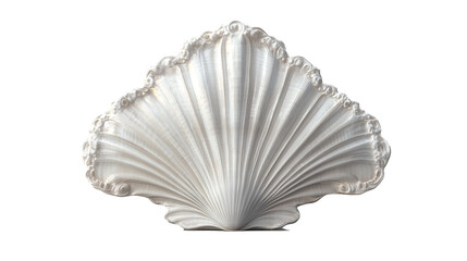 Elegant decorative scallop shell intricate details texture pearl white on transparent background