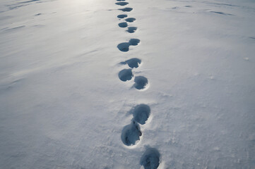 footprint in snow, daylight, winter and ice looking