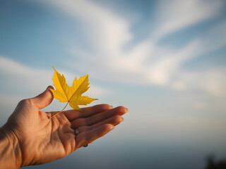 hand holding a yellow leaf, life emotions, farewell