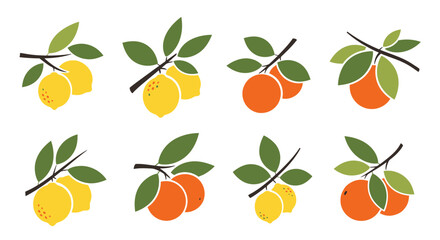 Citrus fruits on branches graphic design
