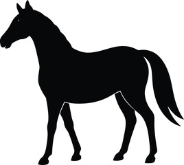 Elegant black silhouette of a horse in profile side view for design