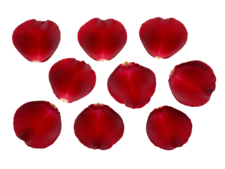 Collection of nine red rose petals arranged in a pattern isolated on transparent background