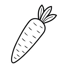 Fresh orange carrot vegetable isolated on a clean white background