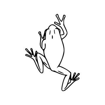simple green frog outline