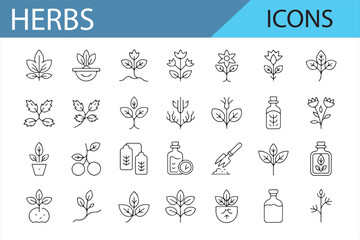 Set of Botanical and Herb Icons for Health, Medicine, and Wellness Designs