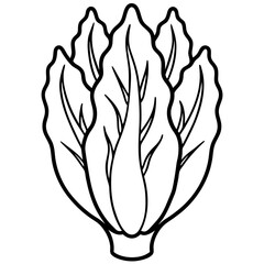 Endive line art vector