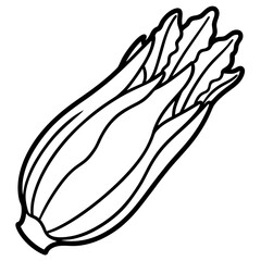 Endive line art vector