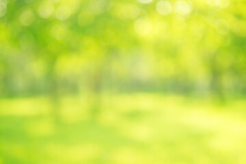 Obraz premium Soft focus scenic backdrop featuring foliage and sunlight, ideal for background with perspective