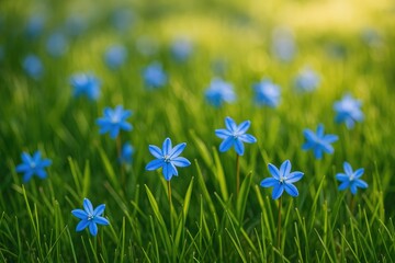 Vivid Blue Blossoms Emerging Amidst Green Grass