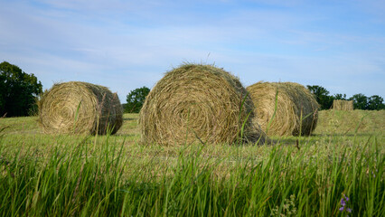 hay bales in the field © Arnis