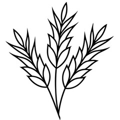 Heather line art vector