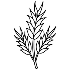 Fototapeta premium Heather line art vector