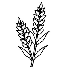 Obraz premium Heather line art vector