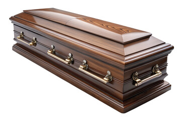 3D Rendering of beautiful, trending and realistic Coffin with white background