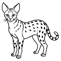 White Line Serval Design