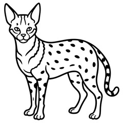 White Line Serval Design