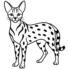 White Line Serval Design