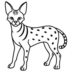White Line Serval Design