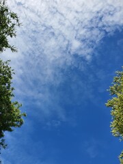 Fototapeta premium sky and clouds