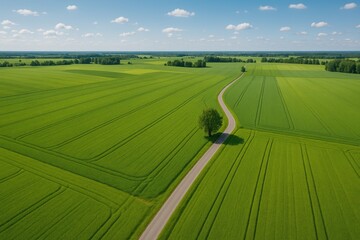 Aerial view of lush agricultural land