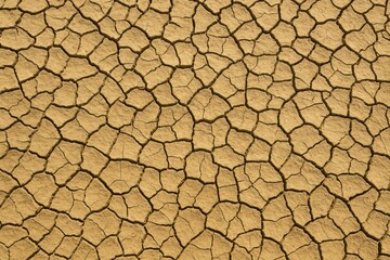 Desolate Arid Soil Texture