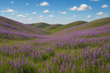 Naklejka premium Violet-flowered hillscape
