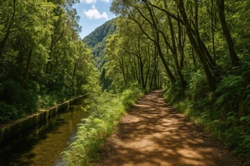 Obraz premium Forest hiking path with a levada running alongside on an island
