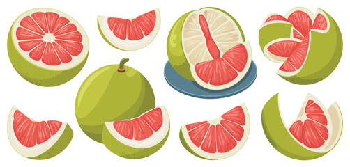 Collection of Colorful Grapefruit Slices and Whole Grapefruits