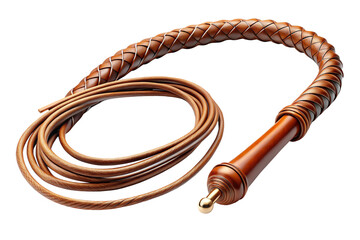 3D Rendering of beautiful, trending and realistic Whip with white background