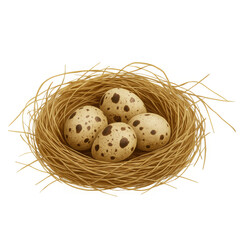 Obraz premium Bird Nest with Speckled Eggs – Natural Straw Nest with Four Spotted Eggs – High Quality Transparent Stock Image