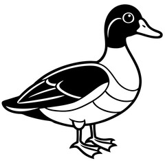 Wood Duck Linear Wildlife Sketch