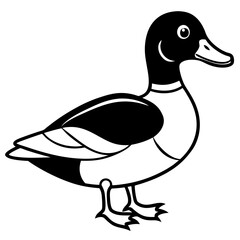 Wood Duck Linear Wildlife Sketch