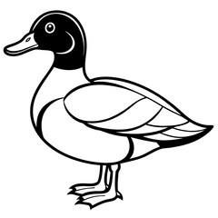Wood Duck Linear Wildlife Sketch
