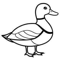 Wood Duck Linear Wildlife Sketch