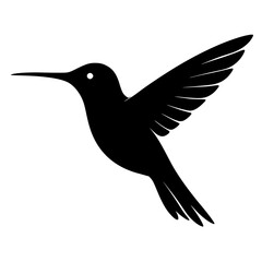 Obraz premium Silhouette of a Hummingbird in Flight