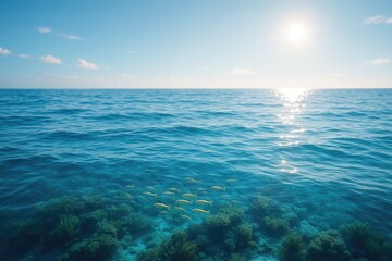 Obraz premium An endless expanse of the sea showcasing vibrant marine life beneath sparkling waves and a limitless sky