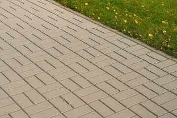 Street and pavement scene with seasonal summer and autumn backdrop