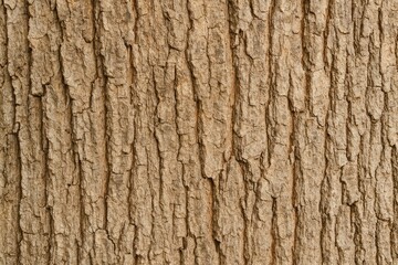 Utilizing tree bark as a natural backdrop for wood surface