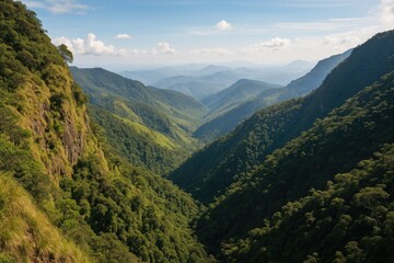 Fototapeta premium The Final Frontier at Horton Plains Nature Reserve