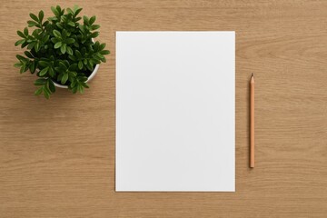 Minimalist workspace featuring blank sheets, a pencil, and a potted plant on a flat surface