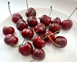 Fresh ripe cherries with water drops on a white plate. Summer fruit close-up, healthy and juicy.
