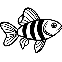 Zebrafish Outline Illustration in Vector Style